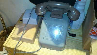 Wolf und Switzeny ex Hirschenkogel Nr79 daheim (19).jpg