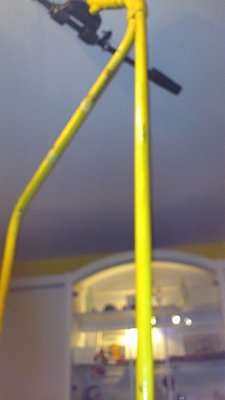 Wolf und Switzeny ex Hirschenkogel Nr79 daheim (22).jpg