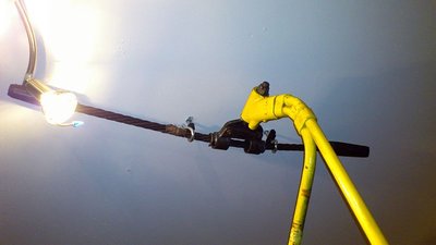 Wolf und Switzeny ex Hirschenkogel Nr79 daheim (25).jpg