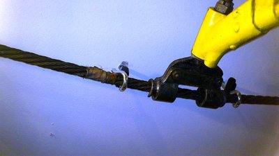 Wolf und Switzeny ex Hirschenkogel Nr79 daheim (26).jpg