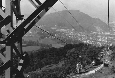 Gaisbergsteurer (1).jpg