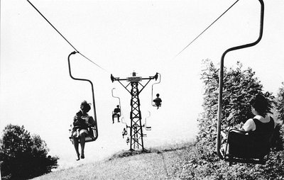 Gaisbergsteurer (4).jpg