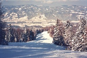 Der Beweiss das ich nicht ausschliesslich auf Kunstschnee fahre: rote Videc Piste, sieht auf dem Foto besser aus als in Wirklichkeit.