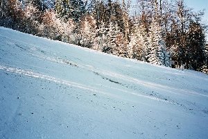 Und so sieht die schwarze Kastivnik aus, die habe ich mir nur einmal angetan ...