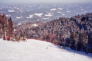 Talstationen Kopnik / Pahernik, das sind im Panorama die beiden mit den roten Pisten. Beide Poma, steil und vor allem Pahernik (Kurvenschlepper) sehr brutal ...
