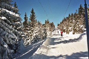 Auffahrt mit dem SCHL Pungart (2. von links im Panorama) - romantisch geht es durch den tief verschneiten Wald. Was auf dem Foto nicht zu sehen ist: unter dem Neuschnee gibt es auf der ganzen Lifttrasse mindestens 50 cm Kunstschnee!
