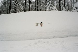 Skilänge: 170 cm. der Stock war als Messlate zu kurz!!
