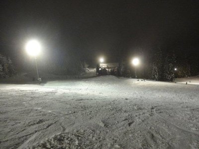 mittlerer Hangteil mit Blick zur Talstation