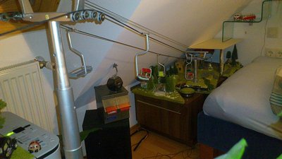 Umstellung HBAB auf ESL (13).jpg