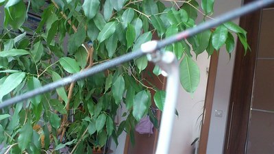 ESLHerzbullialmbahn Steurerfbms (2).jpg