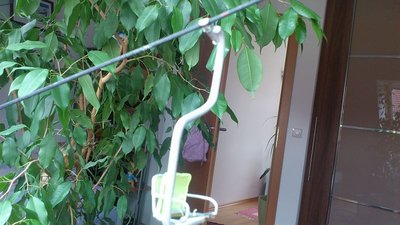 ESLHerzbullialmbahn Steurerfbms (3).jpg