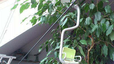 ESLHerzbullialmbahn Steurerfbms (4).jpg