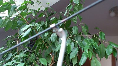 ESLHerzbullialmbahn Steurerfbms (5).jpg