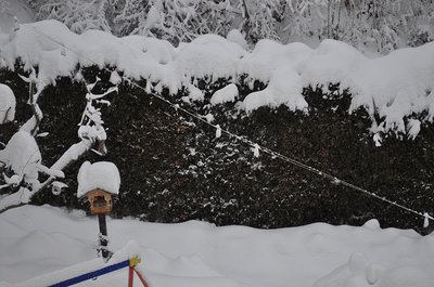 Sessel haben jetzt alle eine Haube, eine Weiße Haube :-)