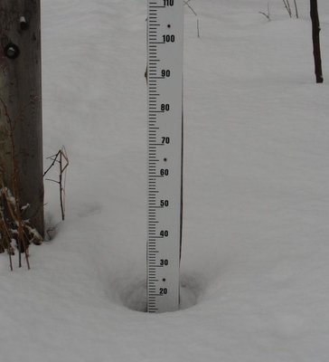 Schneehöhe in Nassau