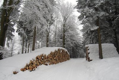 So schön kann Winter sein.
