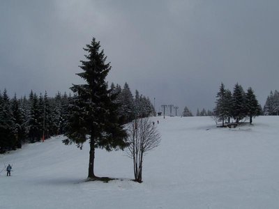 Max 10 Leute insgesamt auf der Piste und das trotz idealer Bedingungen