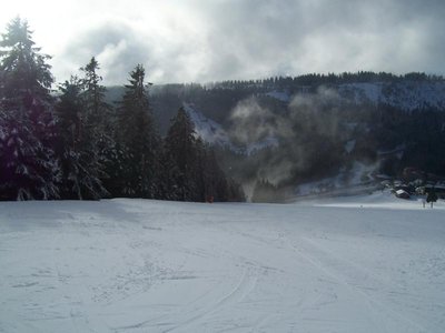 Im Bereich des anderen Schleppers war der frische Pulverschnee noch fast unverspurt - einfach herrlich zu fahren