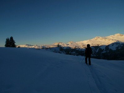 Gauder (nicht offen)