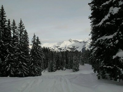Gauder ist immernoch nicht offen, die Schiferbahn seit diesem Tag schon