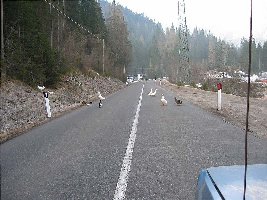 Zunächst ins Fischleintal.