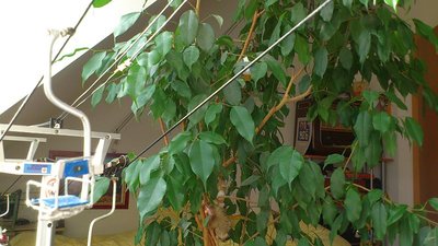 Sonntagsvormittagsbetrieb auf den Herzbullialmbahnen  (44).jpg