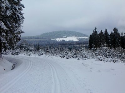 so sieht es in Höhen um die 1000m aus