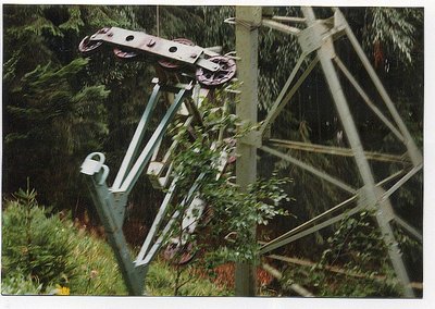 traurig...der Wolf und Switzeny muß gehen....