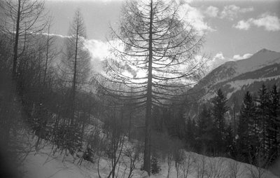 Bergbahnen Gastein Stubnerkogel (27).jpg