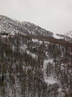 ein weitblick ins skigebiet. viel wald, ich weiss, aber wer gut schaut, erkennt den skilift furggu und wer sich noch etwas mehr mühe gibt auch die sesselbahn heidbodme!