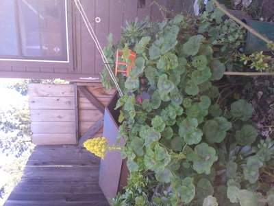 2013-02-23 14.26.03.jpg