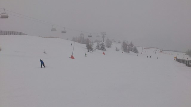 Gamskogelexpress ...