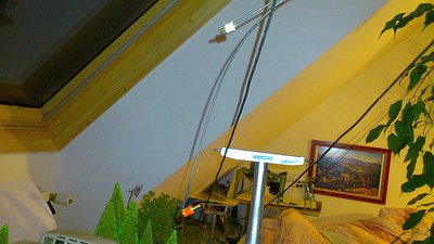 HU ESL Herzbullialm1  (14).jpg