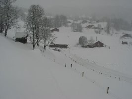 So sah die Talabfahrt am ersten Tag aus.