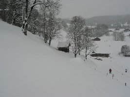 Wieder die Talabfahrt