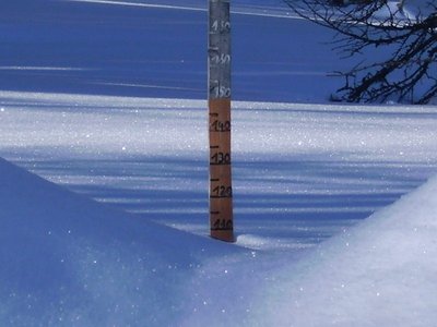 Schneemesser, knapp 110 cm Naturschnee!