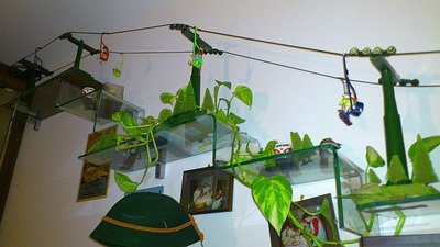 Montagearbeitenstrecke (9).jpg