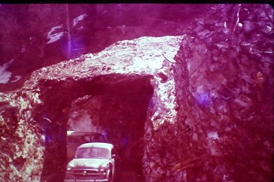 1962 - Weg nach Hintertux.jpg