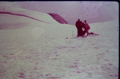 1962 - Blick auf dem heutgen Tuxerfernerpiste.jpg
