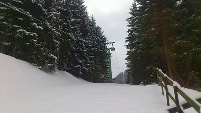 Status Muckenkogl heute 15.03 (1).jpg