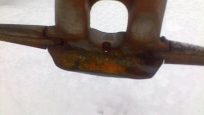 Status Muckenkogl heute 15.03 (3).jpg