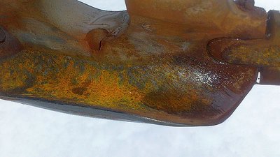 Status Muckenkogl heute 15.03 (6).jpg