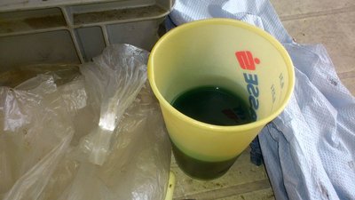 Status Muckenkogl heute 15.03 (14).jpg