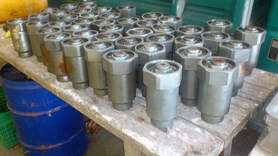 Status Muckenkogl heute 15.03 (15).jpg