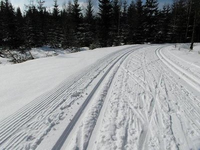 Loipe im Geyerschen Wald