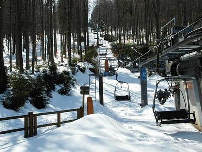 Trasse der DSB in Rehefeld