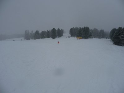 Die eigentliche neue Piste beginnt dort, wo die blaue 5 (Verbindung Sunshine-Rosenkranz) ihren rechtsknick macht. Geradeaus sieht man die Trasse für die Gondelbahn, links beginnt die neue Piste.