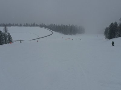 Später führt diese Abfahrt am Schneiteich vorbei.