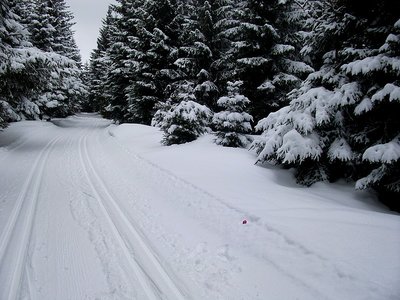 Der Zubringer Henneberg-Skimagistrale am 1. April