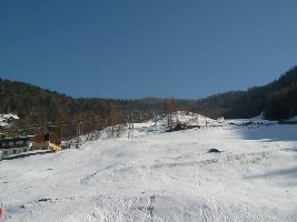 hier ein blick nach oben von ganz unten mit sichtbarem schneebedürfnis.